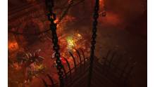 Diablo-III-playstation-3-screenshot (19)