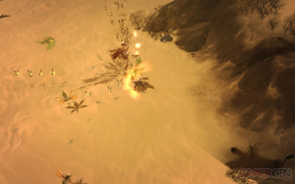 Diablo-III-playstation-3-screenshot (1)