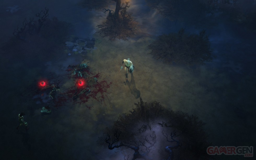 Diablo-III-playstation-3-screenshot (79)