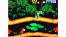 donkeykong-country-screenshot-05052011-004