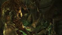 dragon-age-origins-playstation-3-ps3-043