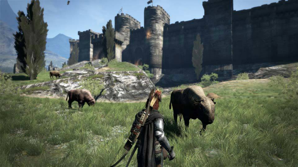 Dragons-Dogma_01-11-2011_screenshot-3