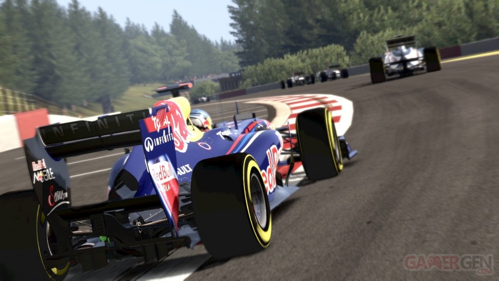 F1 2011 (11)