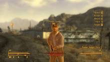 Fallout New Vegas (11)