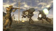 Fallout New Vegas (24)