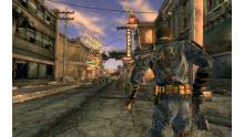 Fallout New Vegas (35)