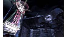 Fallout New Vegas (41)