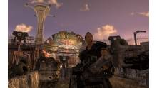 Fallout New Vegas (61)