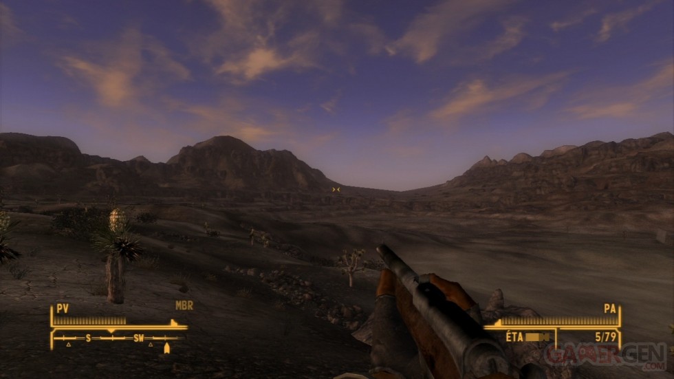 Fallout New Vegas (88)