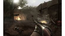 Far Cry 2 (100)