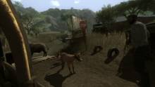 Far Cry 2 (116)