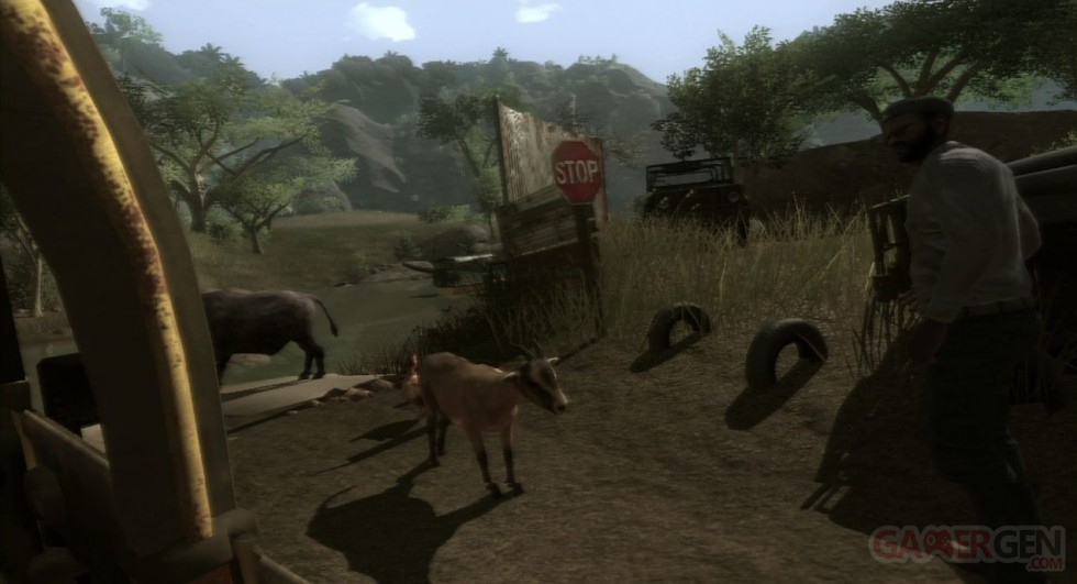 Far Cry 2 (116)