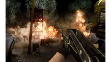 Far Cry 2 (37)