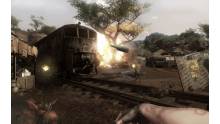 Far Cry 2 (43)