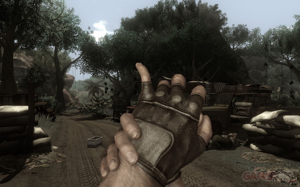 Far Cry 2 (44)