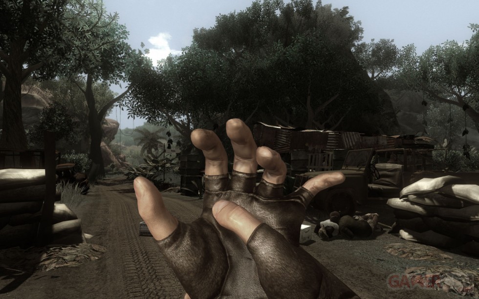 Far Cry 2 (45)