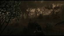 Far Cry 2 (64)