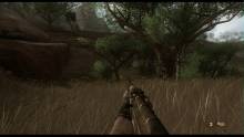 Far Cry 2 (98)