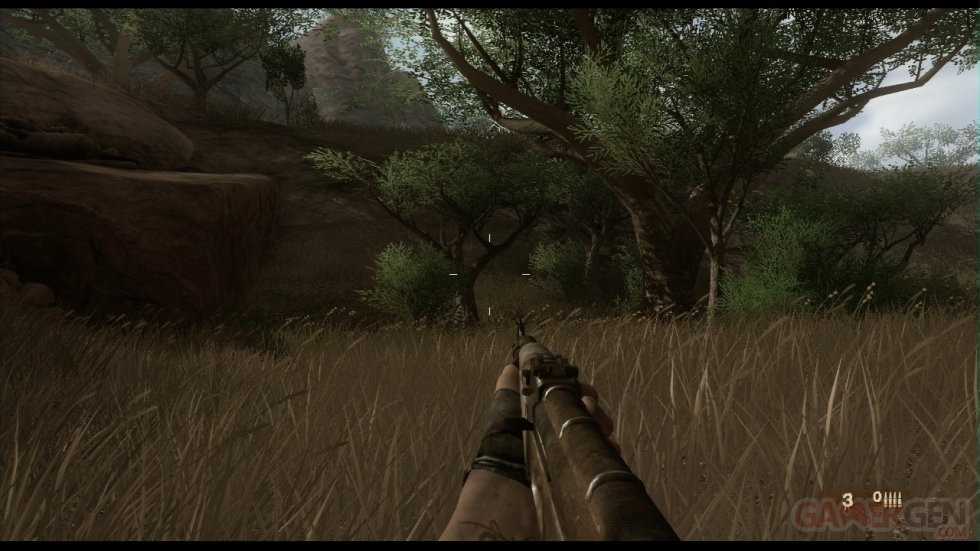 Far Cry 2 (98)