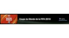 FIFA WORLD CUP 2010 trophee platine  2