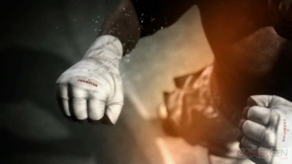 Fight Night Champion (111)