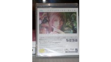 Final Fantasy XIII Lightning Edition DSC01195