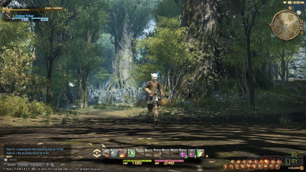 Final-Fantasy-XIV_06-06-2012_screenshot-14