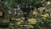 Final-Fantasy-XIV-A-Realm-Reborn_15-08-2012_screenshot (4)