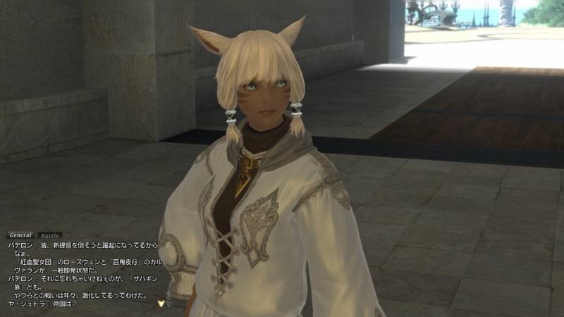 Final-Fantasy-XIV-alpha-31