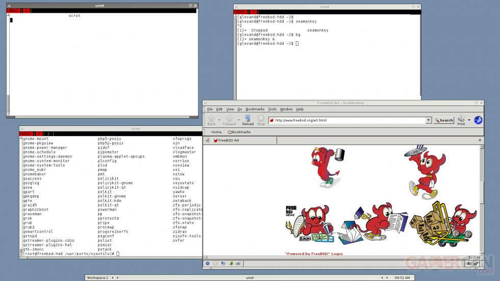 freebsd_ps3_x11_fullhd_accelerated_3