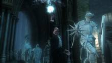 Harry-Potter-Reliques-Mort-Deuxième-Partie_23-06-2011_screenshot (1)