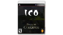 ico_shadow_of_the_colossus_cover