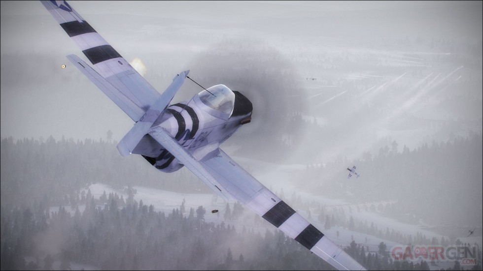 IL-2 Sturmovik (52)