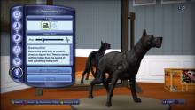 Les Sims 3 Animaux & Cie (17)