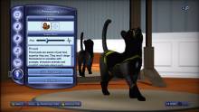 Les Sims 3 Animaux & Cie (18)