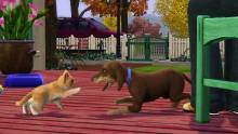 Les Sims 3 Animaux & Cie (2)
