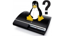 linux-ps3-25032011-001