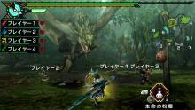 Monster-Hunter-Portable-3rd-HD_screenshot-7