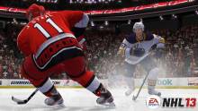 NHL-13_screenshot (1)