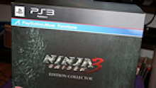 Ninja Gaiden 3 collector logo vignette 23.02.2012