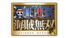 One-Piece-Kaizoku-Musou-Image-05092011-01