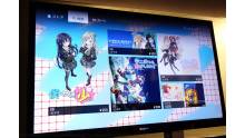 PlayStation Store japonais 15.01.2013. (2)
