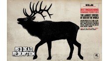 Red-Dead-Redemption_chasse-14