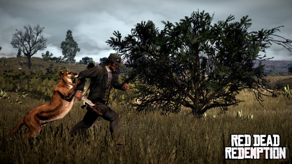 Red-Dead-Redemption_chasse-4