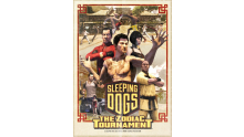 Sleeping Dogs DLC screenshot 18122012 009