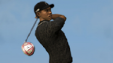 Tiger-Woods-PGA-Tour-14_08-01-2013_head (3)