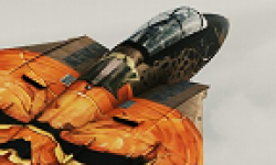 vignette head ace combat assault horizon 21102011