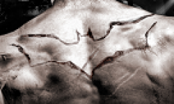 vignette head batman the dark night rises 27022012