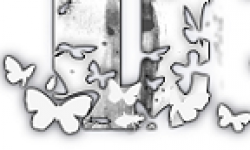 vignette head datura 07032012