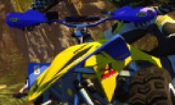 vignette head project haste 28102011